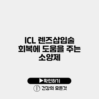ICL 렌즈삽입술 회복에 도움을 주는 소양제