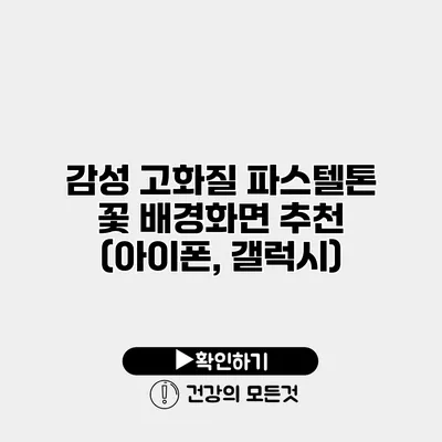 감성 고화질 파스텔톤 꽃 배경화면 추천 (아이폰, 갤럭시)
