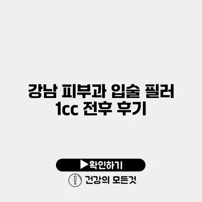 강남 피부과 입술 필러 1cc 전후 후기