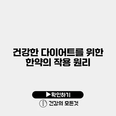 건강한 다이어트를 위한 한약의 작용 원리