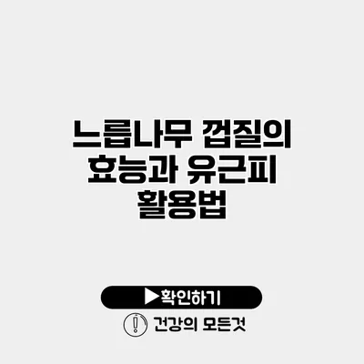 느릅나무 껍질의 효능과 유근피 활용법