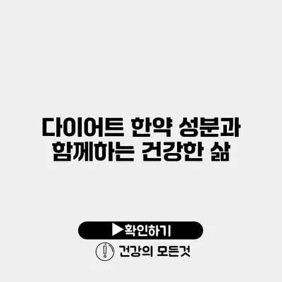 다이어트 한약 성분과 함께하는 건강한 삶