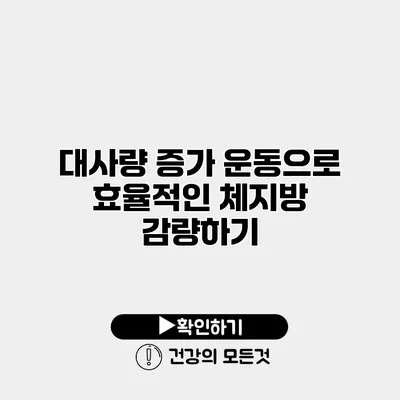 대사량 증가 운동으로 효율적인 체지방 감량하기