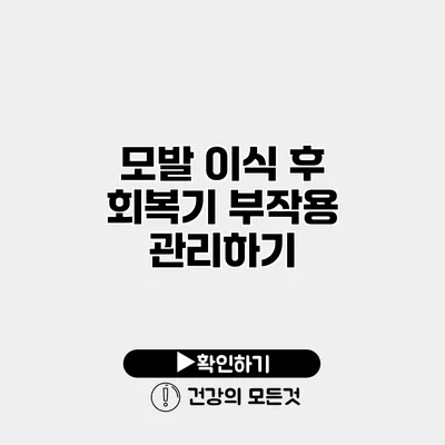 모발 이식 후 회복기 부작용 관리하기