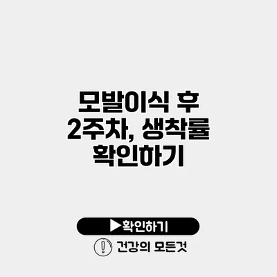 모발이식 후 2주차, 생착률 확인하기
