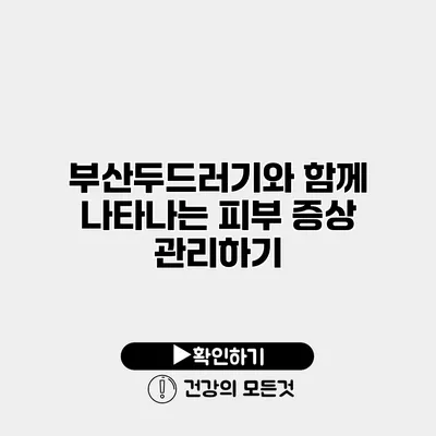 부산두드러기와 함께 나타나는 피부 증상 관리하기