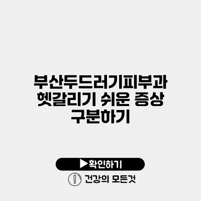 부산두드러기피부과 헷갈리기 쉬운 증상 구분하기