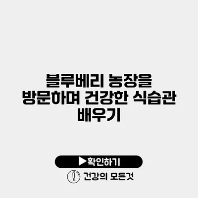 블루베리 농장을 방문하며 건강한 식습관 배우기