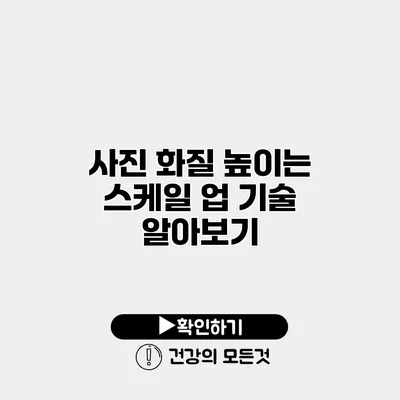사진 화질 높이는 스케일 업 기술 알아보기