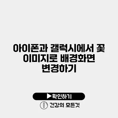 아이폰과 갤럭시에서 꽃 이미지로 배경화면 변경하기