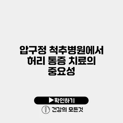 압구정 척추병원에서 허리 통증 치료의 중요성