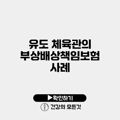 유도 체육관의 부상배상책임보험 사례