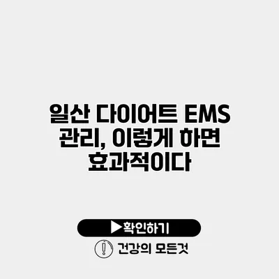 일산 다이어트 EMS 관리, 이렇게 하면 효과적이다