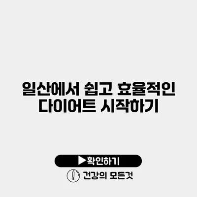 일산에서 쉽고 효율적인 다이어트 시작하기
