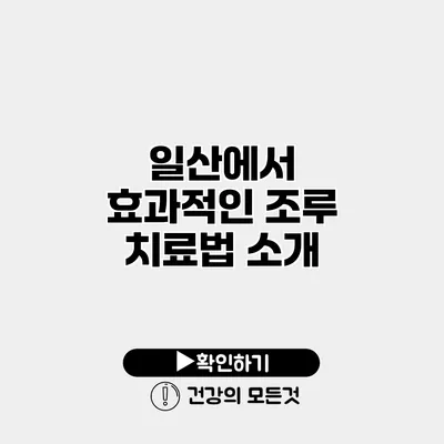 일산에서 효과적인 조루 치료법 소개