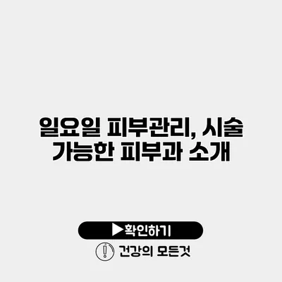 일요일 피부관리, 시술 가능한 피부과 소개