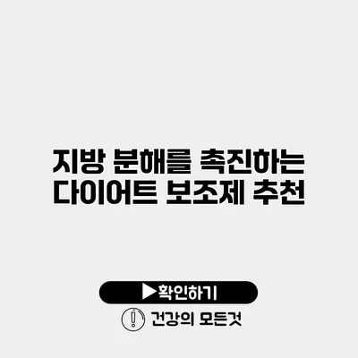 지방 분해를 촉진하는 다이어트 보조제 추천