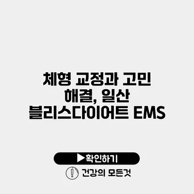 체형 교정과 고민 해결, 일산 블리스다이어트 EMS