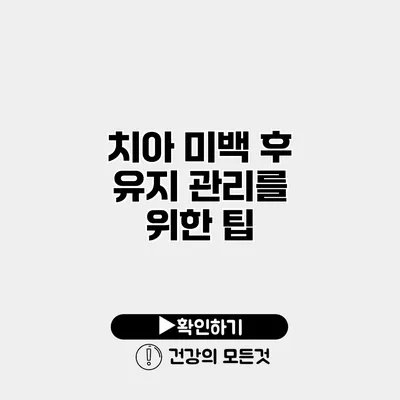 치아 미백 후 유지 관리를 위한 팁