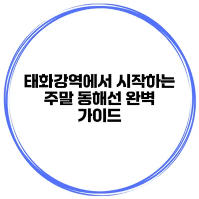 태화강역에서 시작하는 주말 동해선 완벽 가이드