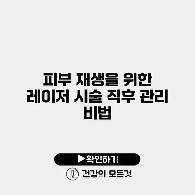 피부 재생을 위한 레이저 시술 직후 관리 비법