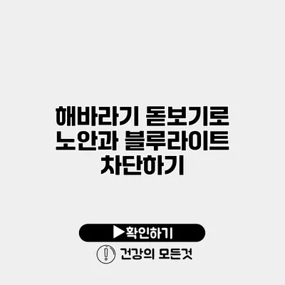 해바라기 돋보기로 노안과 블루라이트 차단하기