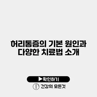 허리통증의 기본 원인과 다양한 치료법 소개