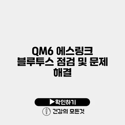 QM6 에스링크 블루투스 점검 및 문제 해결