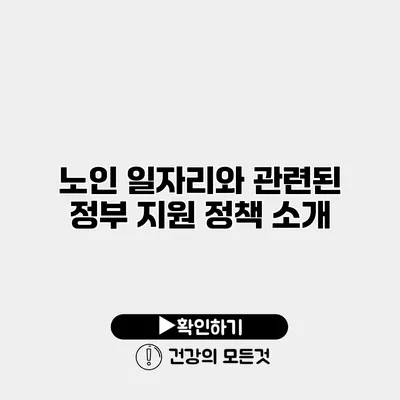 노인 일자리와 관련된 정부 지원 정책 소개