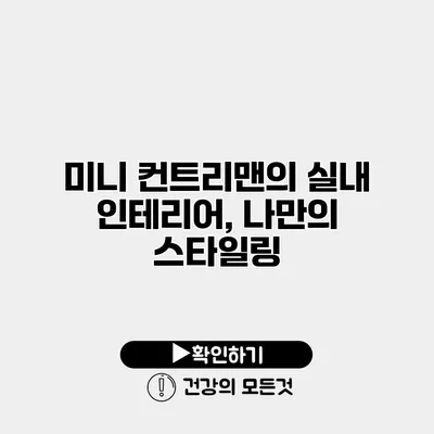 미니 컨트리맨의 실내 인테리어, 나만의 스타일링