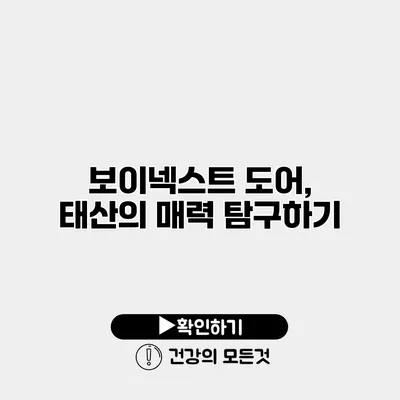 보이넥스트 도어, 태산의 매력 탐구하기
