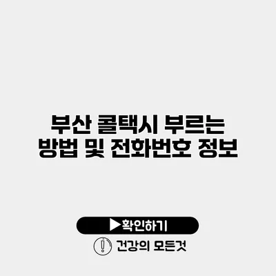 부산 콜택시 부르는 방법 및 전화번호 정보