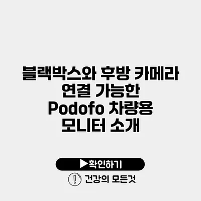 블랙박스와 후방 카메라 연결 가능한 Podofo 차량용 모니터 소개