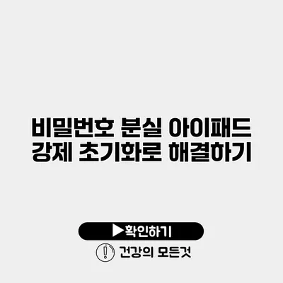 비밀번호 분실? 아이패드 강제 초기화로 해결하기