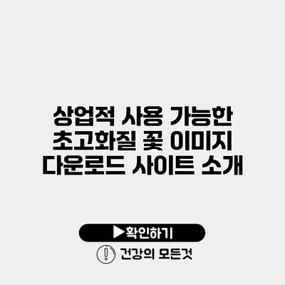 상업적 사용 가능한 초고화질 꽃 이미지 다운로드 사이트 소개