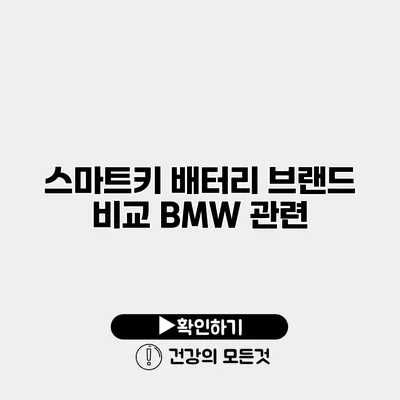스마트키 배터리 브랜드 비교 BMW 관련