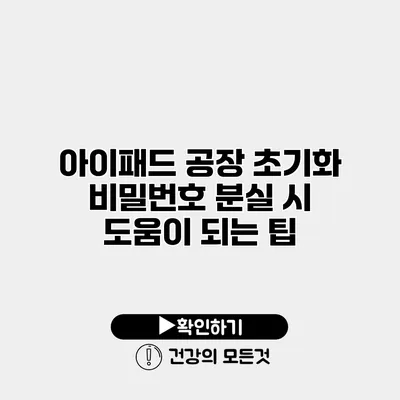 아이패드 공장 초기화 비밀번호 분실 시 도움이 되는 팁