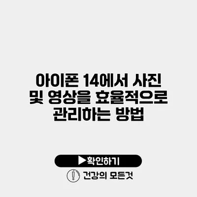 아이폰 14에서 사진 및 영상을 효율적으로 관리하는 방법