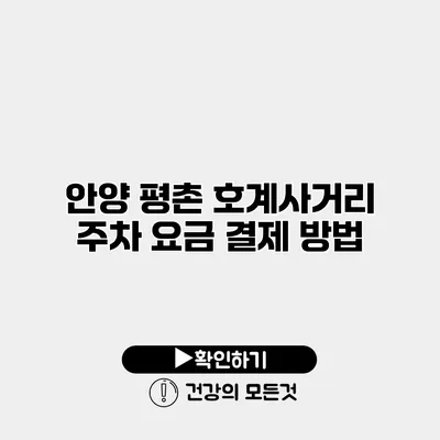 안양 평촌 호계사거리 주차 요금 결제 방법