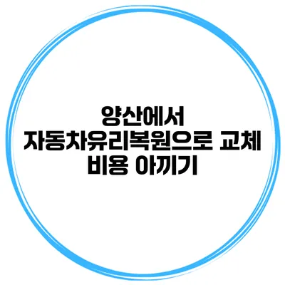양산에서 자동차유리복원으로 교체 비용 아끼기