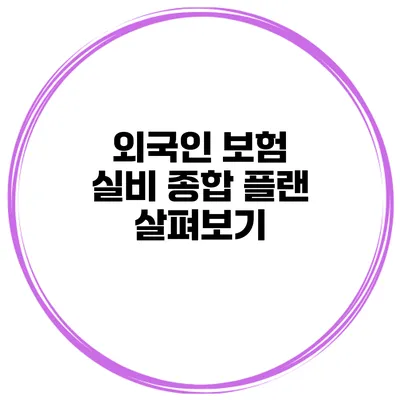 외국인 보험 실비 종합 플랜 살펴보기