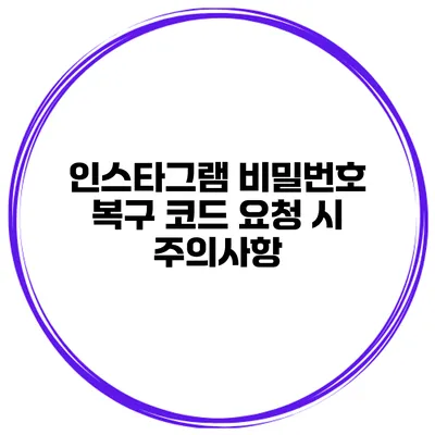 인스타그램 비밀번호 복구 코드 요청 시 주의사항