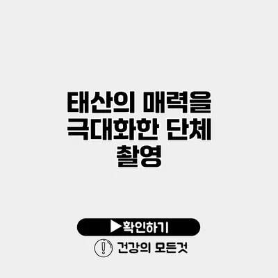 태산의 매력을 극대화한 단체 촬영