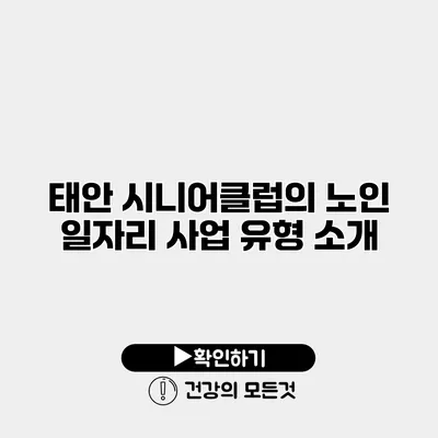 태안 시니어클럽의 노인 일자리 사업 유형 소개