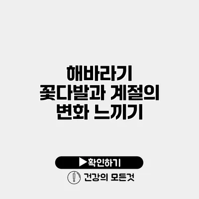 해바라기 꽃다발과 계절의 변화 느끼기