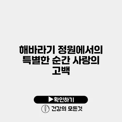 해바라기 정원에서의 특별한 순간 사랑의 고백