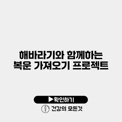 해바라기와 함께하는 복운 가져오기 프로젝트