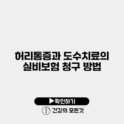 허리통증과 도수치료의 실비보험 청구 방법